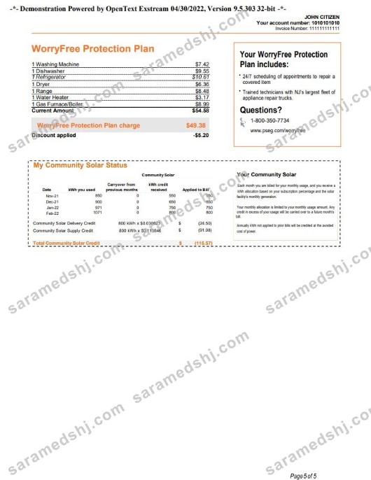 USA New York PSEG utility bill, Word and PDF template, 5 pages 5